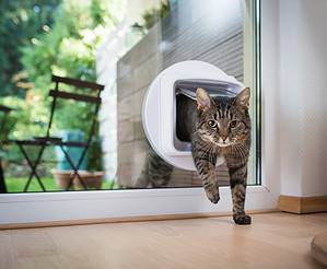 7 Reasons to Buy a Smart Pet Door For Your Cat Today photo
