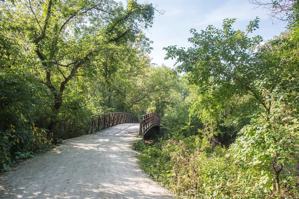 McDowell Footbridge