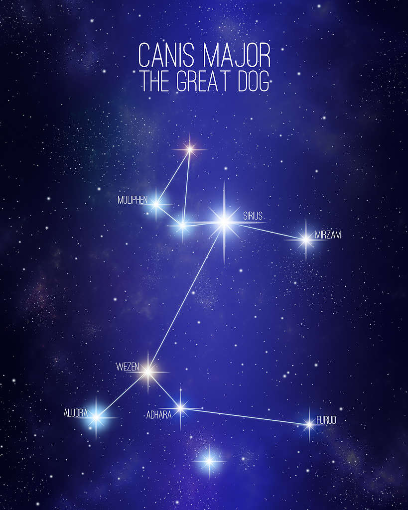 Canis Major constellation on a starry sky illustration