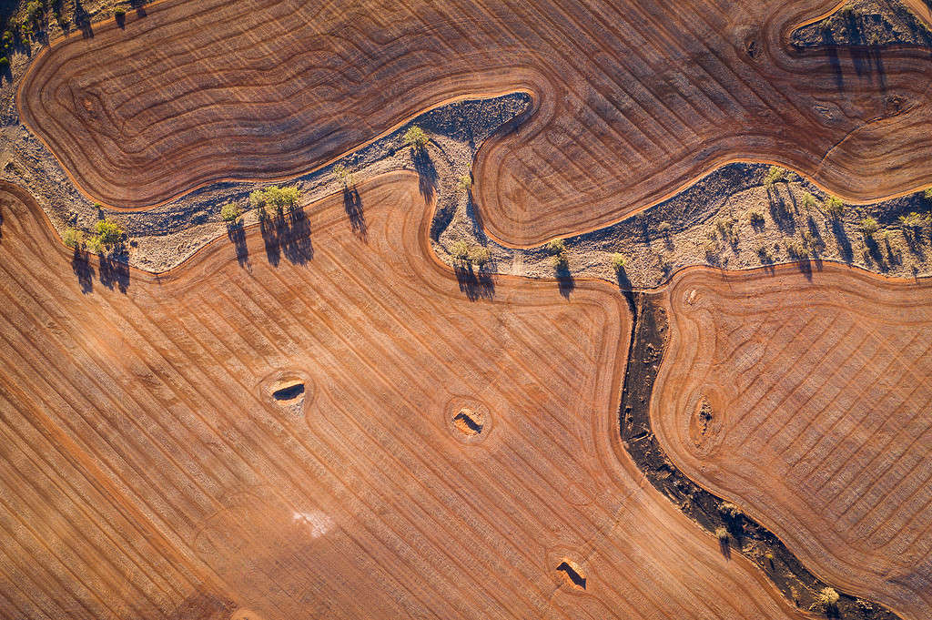 aerial view wheat fields