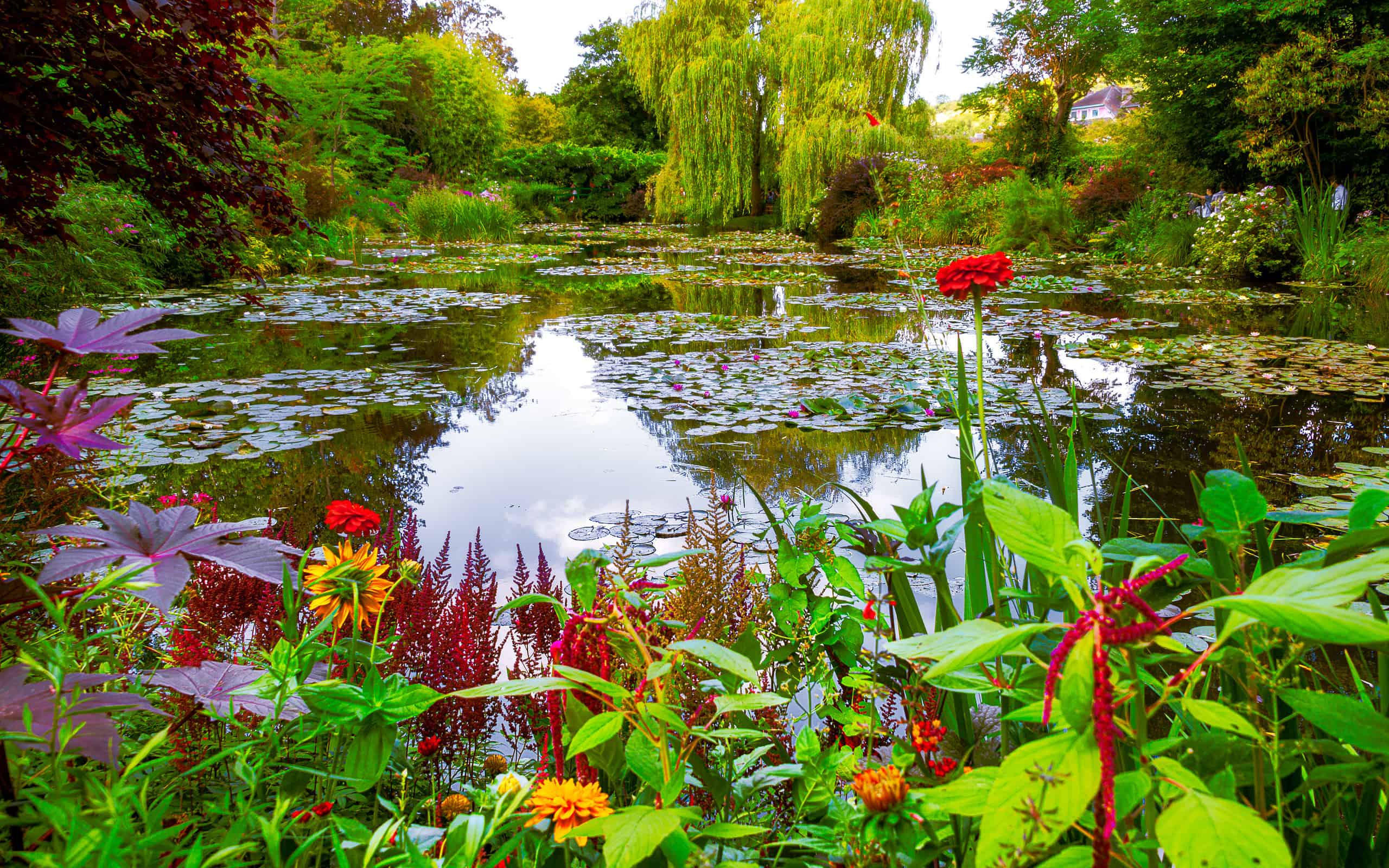 Monet's Garden and Pond