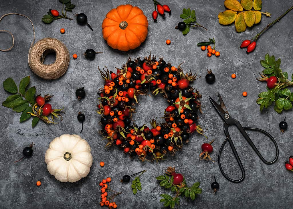 Beautiful holiday door wreath with wild red, black rose fruits and firethorn berries.