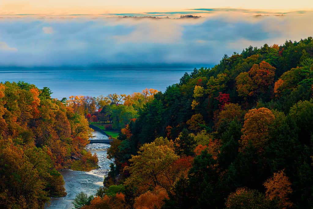 Taughannock Falls Gorge and Creek at Sunrise In Full Fall Colors On Foggy Day Overlooking Lower falls and Cayuga Lake