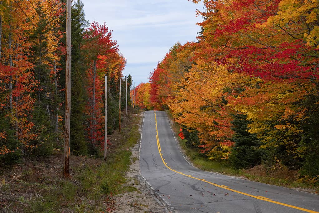 Acadia road