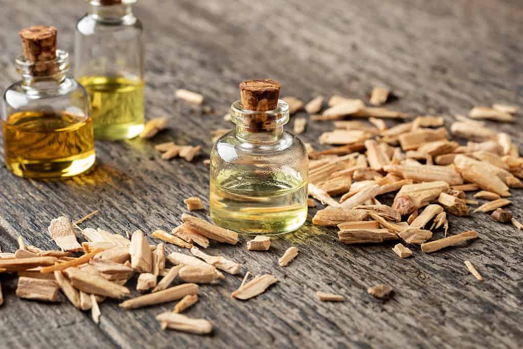 Bottles of essential oil with cedar wood chips