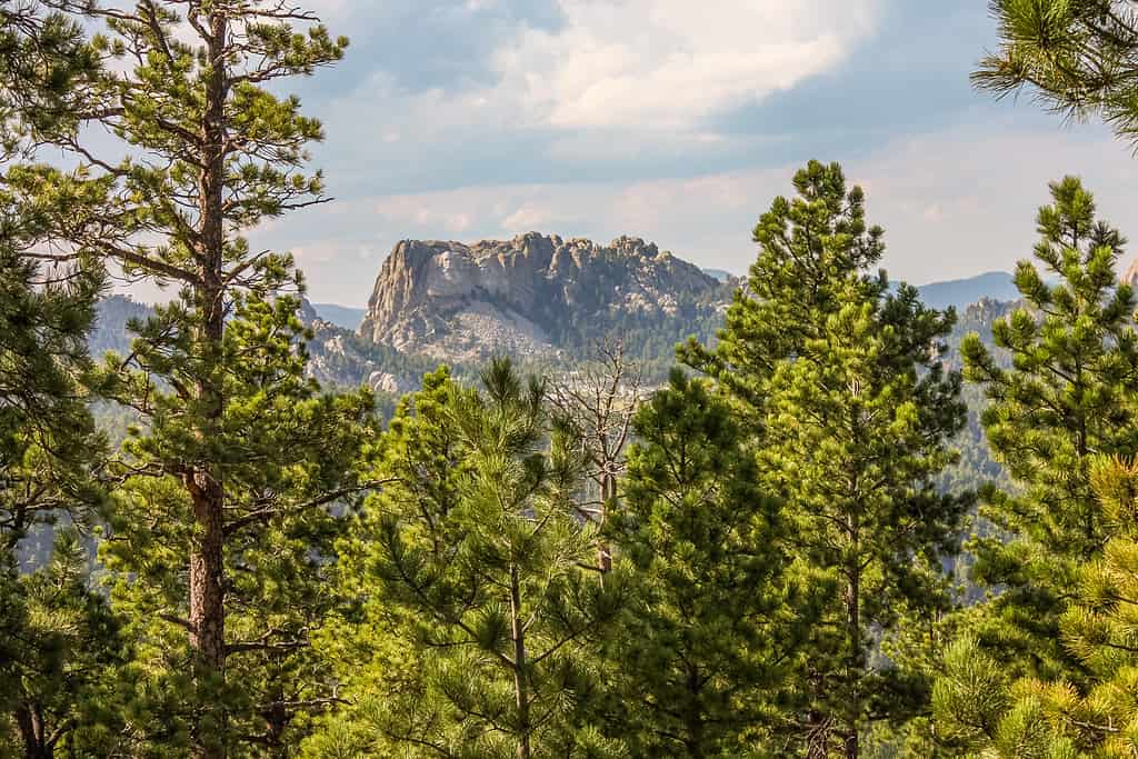 Distant View of Mount Rushmore