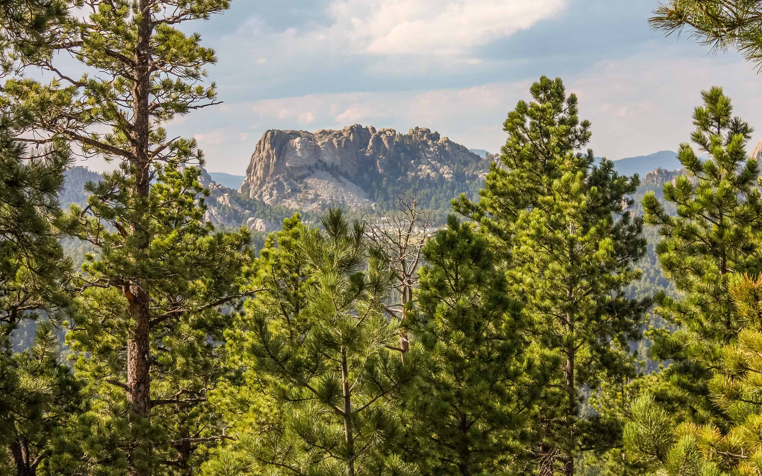 Distant View of Mount Rushmore in Black Hills forest South Dakota