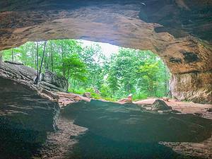 9 Amazing Caves in Arkansas (From Popular Spots to Hidden Treasures) Picture