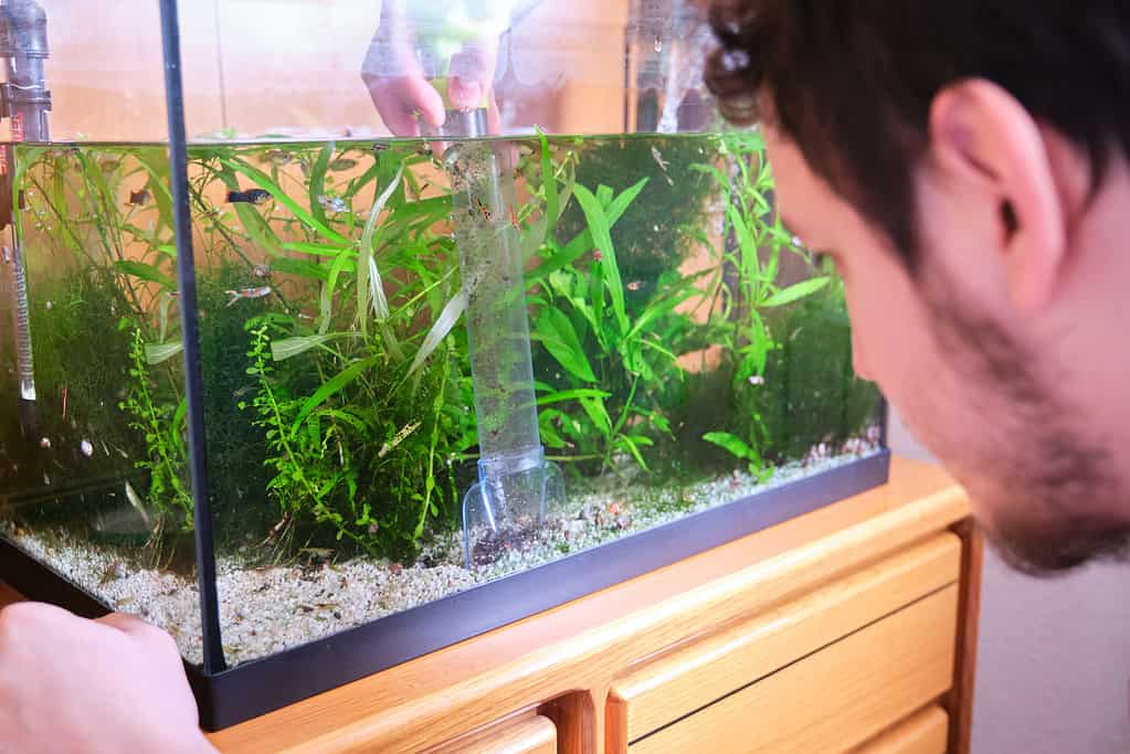 Young caucasian man pumping out water to clean up the substrate in his aquarium