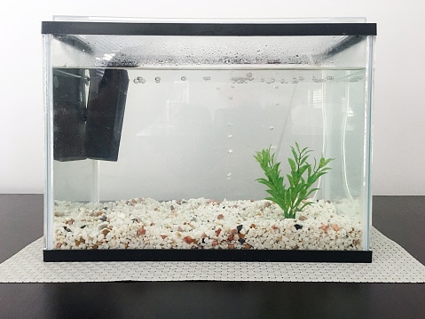 Aquarium fish tank full of water