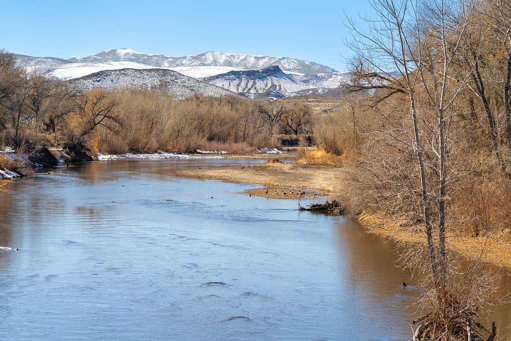 Carson River winter landscape