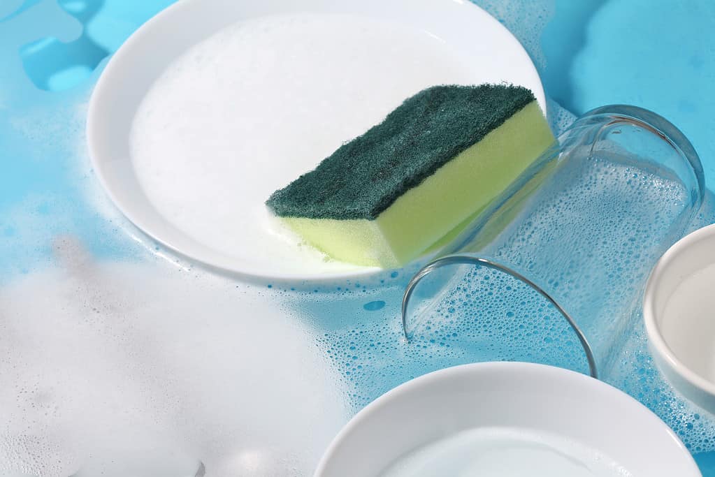 Dishware and sponge in clean water . Wash utensil after used.