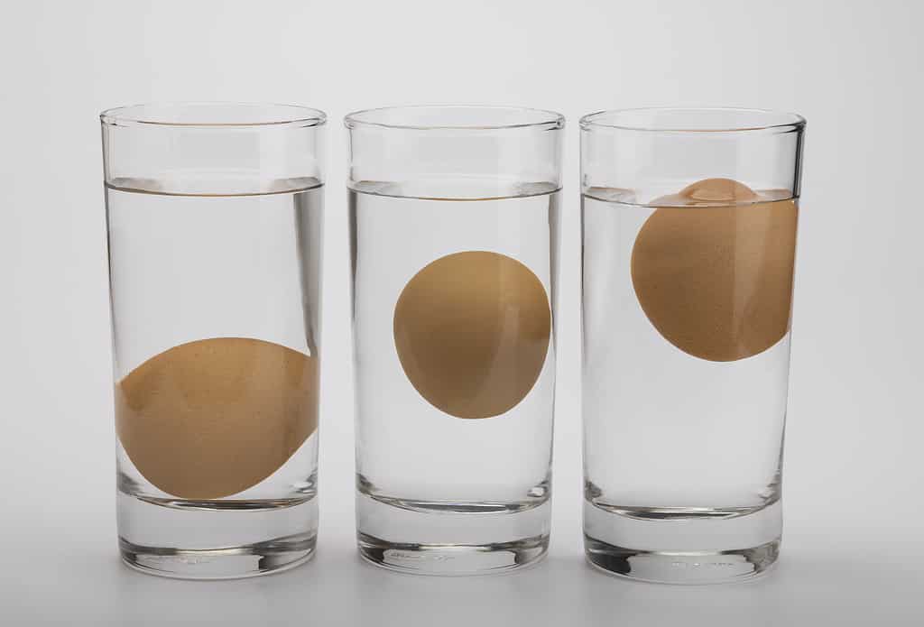 Eggs in water test on transparent glass , Egg freshness test on white background , Bad egg floats in water