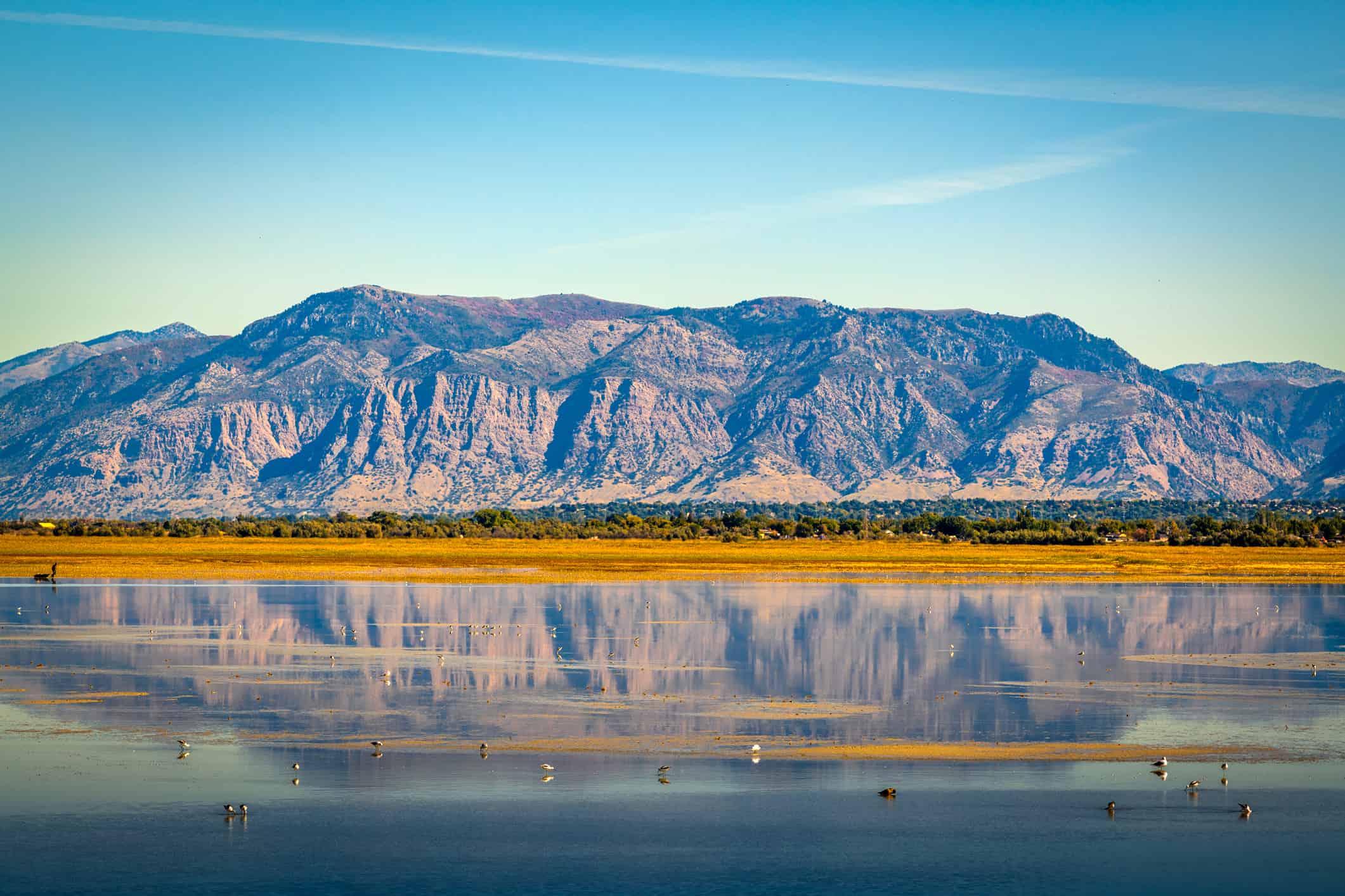 Salt Lake City, Utah, USA at the Great Salt Lake