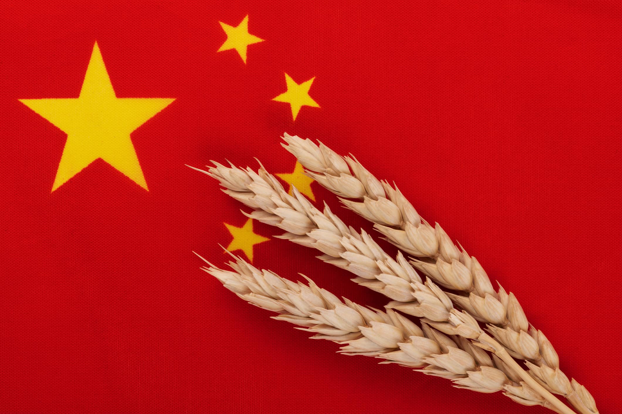 Three ripe ears of wheat against the background of a fragment of the flag of China