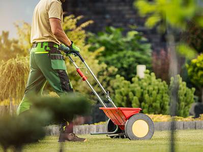 A 5 Reasons to Buy Synthetic Fertilizer for Your Garden