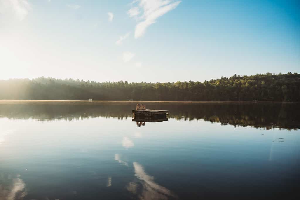 Swim platform floating on a calm lake on a sunny summer morning.