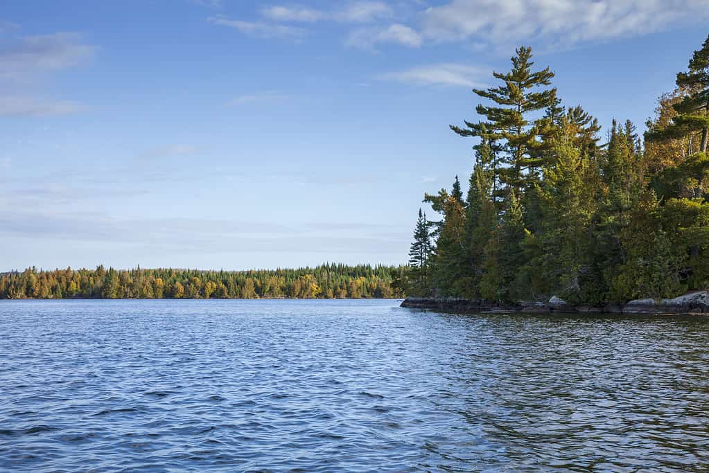 Blue lake in the Boundary Waters of northern Minnesota on a bright autumn morning