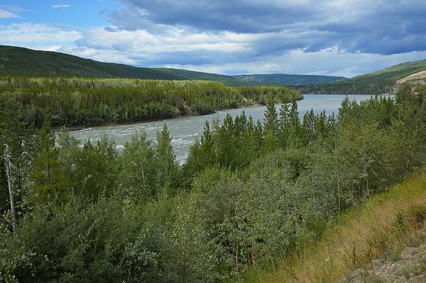 The 6 Longest Rivers in British Columbia - A-Z Animals