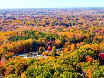 A Discover When Leaves Change Color in Wisconsin (Plus 5 Places with Beautiful Foliage)