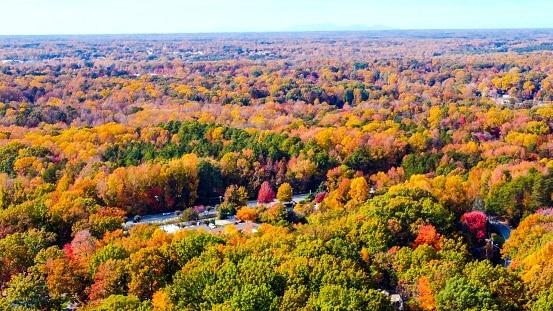 Discover When Leaves Change Color in Wisconsin (Plus 5 Places with ...