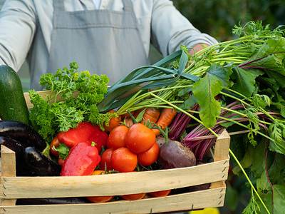 A 25 High-Protein Vegetables to Grow in Your Garden