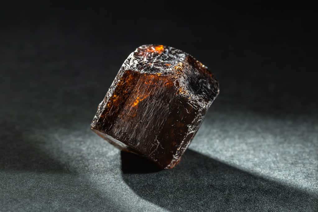 Brown Dravite Tourmaline Crystal Back Lit on Black