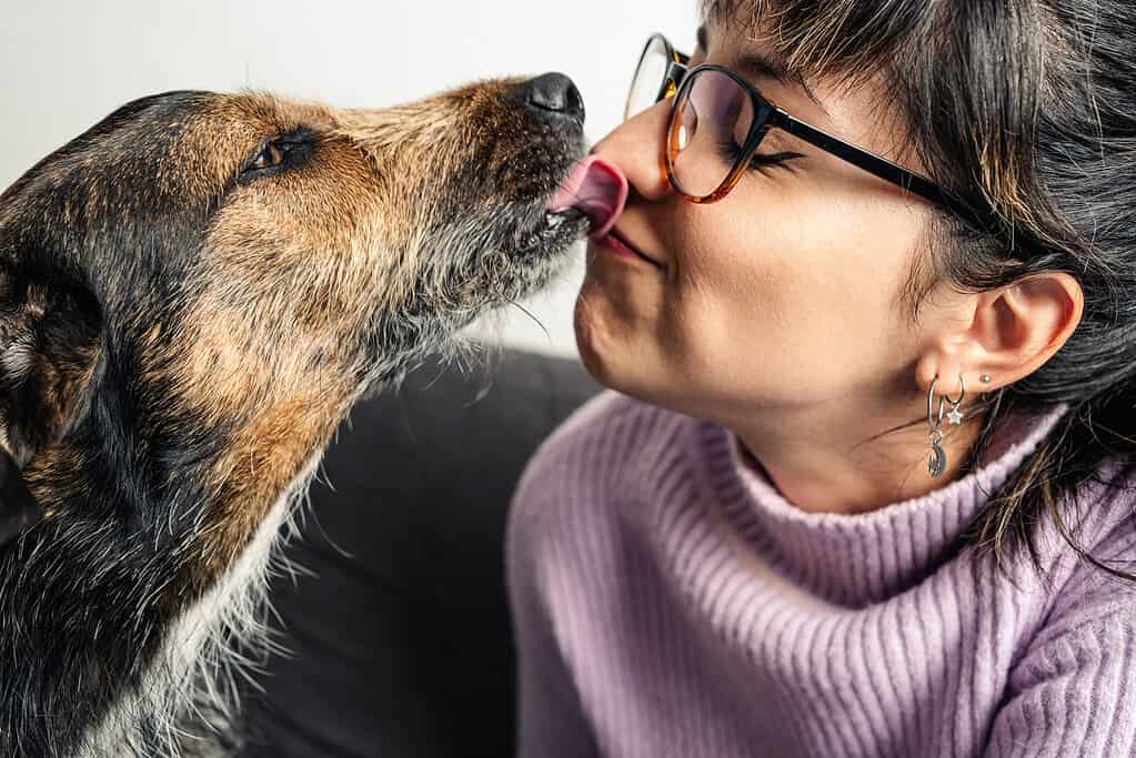 Adorable image of dog kissing and licking his owner in the face.