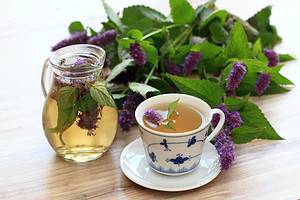 The 61 Best Plants to Grow to Make Your Own Delicious Tea Picture