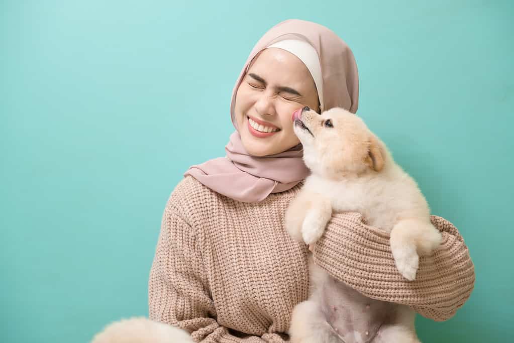 Portrait of Young muslim woman kisses and hugs her dog over green background.