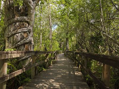 A Discover the 7 Largest State Parks in Florida