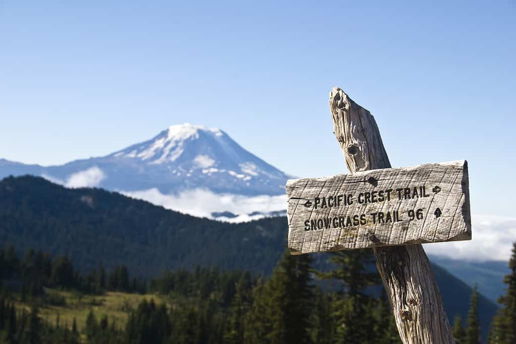 Sign, Pacific Crest Trail