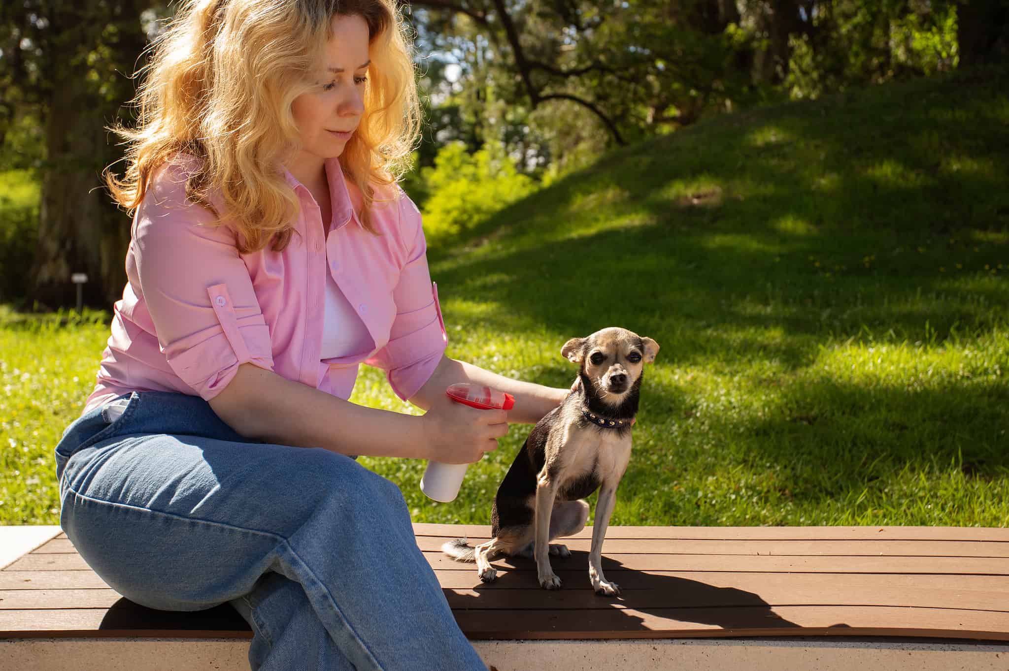The Hidden Wildlife Impact of Flea and Tick Treatments - A-Z Animals