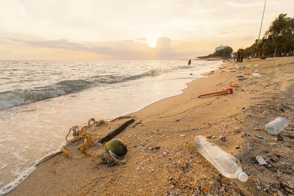 plastic waste on the beach, ฺBang Saen Beach, Chonburi, Thailand