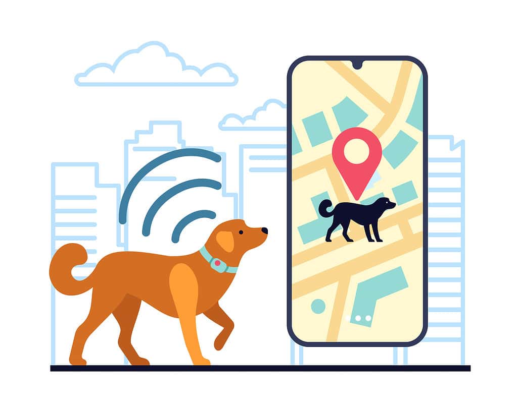 GPS collar on dog to track city location. Smartphone app. Urban map. Pets geolocation. Puppy direction monitoring. Animal tracking. Mobile technology. Phone navigator. Vector concept
