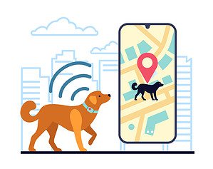 11 Reasons to Skip Buying a GPS Tracker for Your Dog Picture