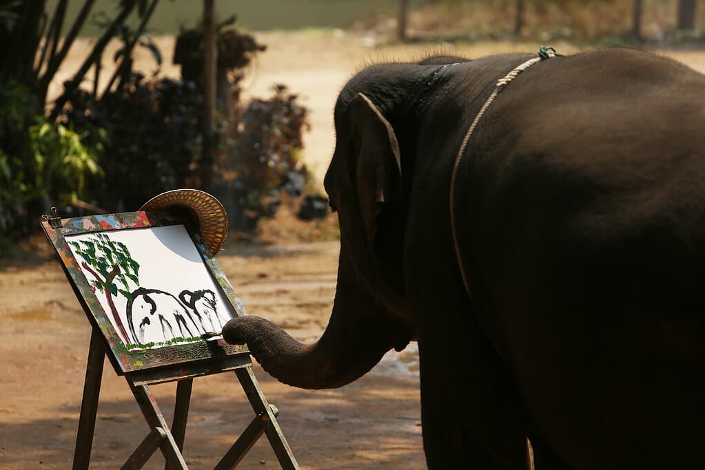 Elephant paint picture
