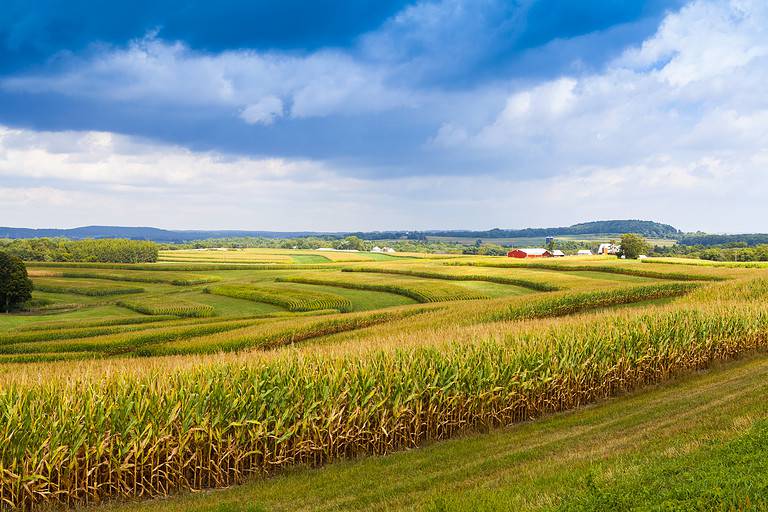 Discover Indiana's Top 7 Most Valuable Crops - A-Z Animals