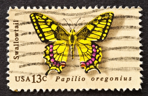 Oregon Swallowtail Butterfly Stamp