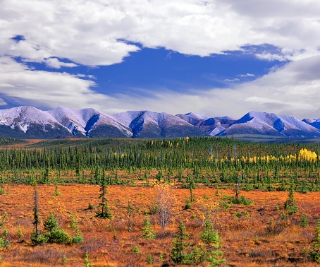 Mackenzie Mountains