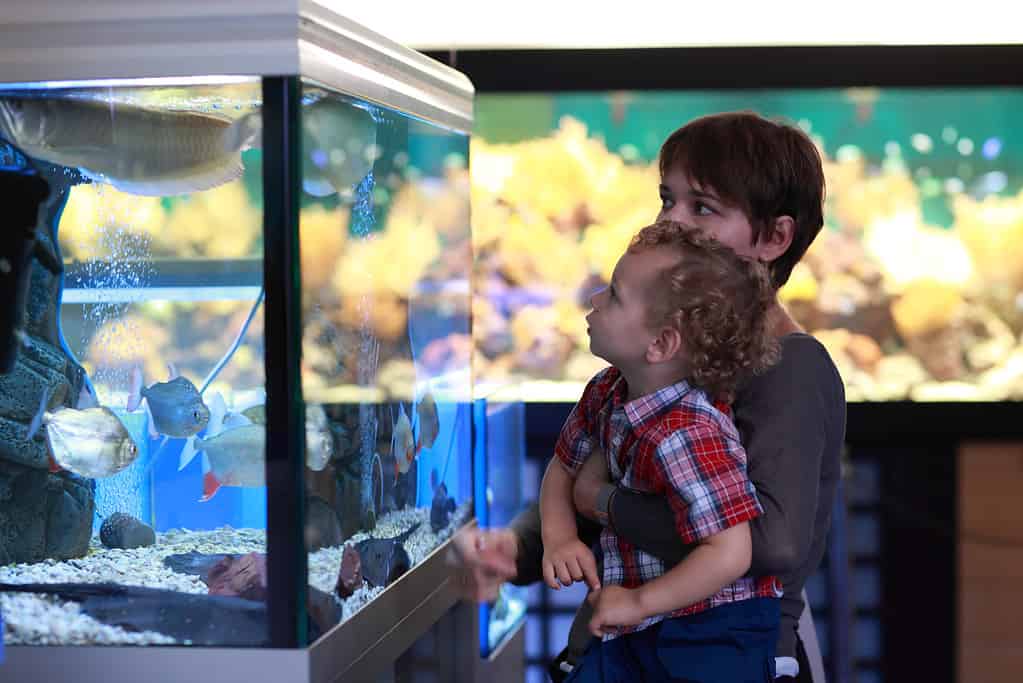 Family at aquarium