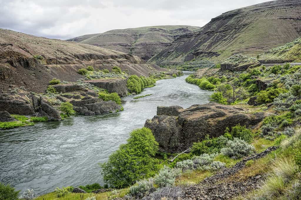 looking north on the deschutes