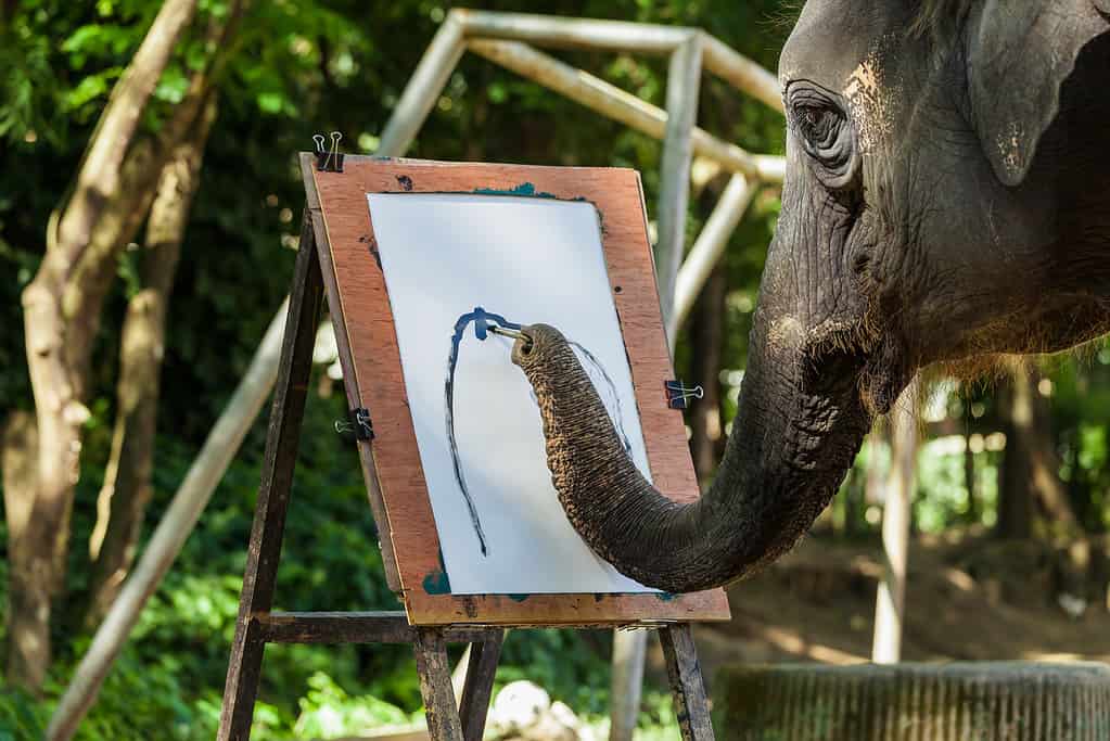 An elephant painting a watercolor picture with its trunk 