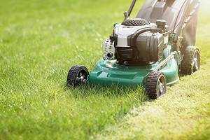 8 Reasons to Skip on Buying a Ryobi Lawnmower Picture