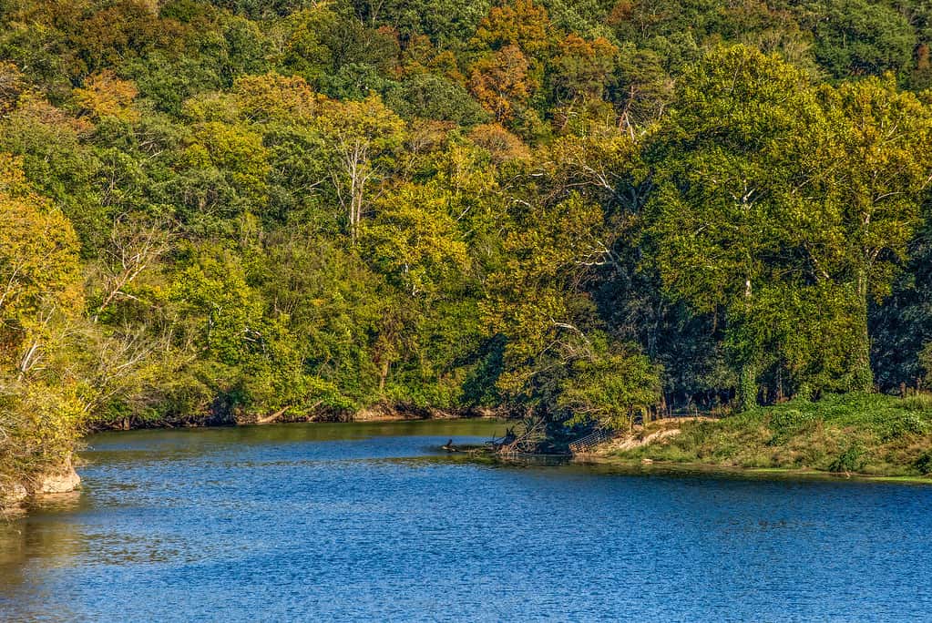 Nolichucky River