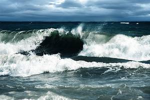 Discover the Ocean Wave That Travels Almost 500 Miles! Picture