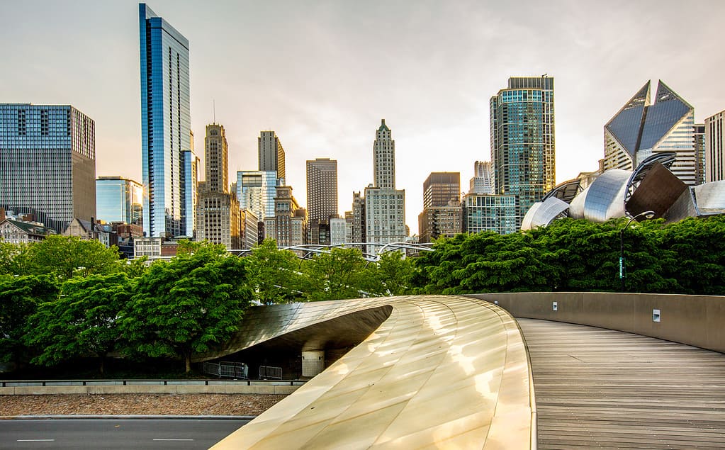 Downtown Chicago view from the Park