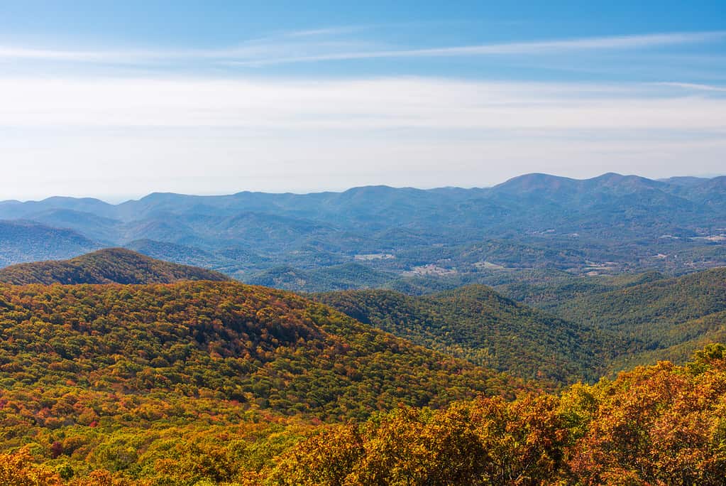 Autumn Landscape of the Blue Ridge Mountain Range