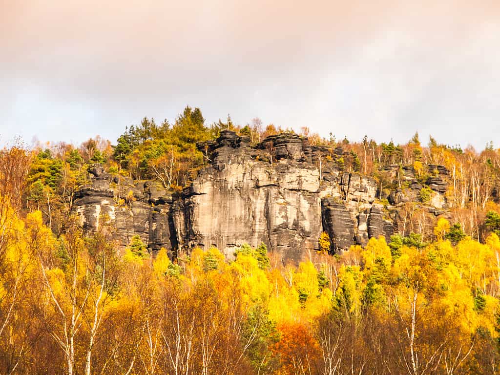 Sandstone rock formation in the middle of autumn forest