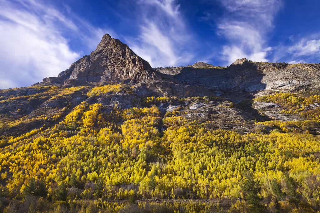 Lamoille Canyon is the largest valley in the Ruby Mountains, located in the central portion of Elko County in the northeastern section of the state of Nevada. Trees are in fall colors.